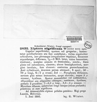 Tapesia nigrificans image